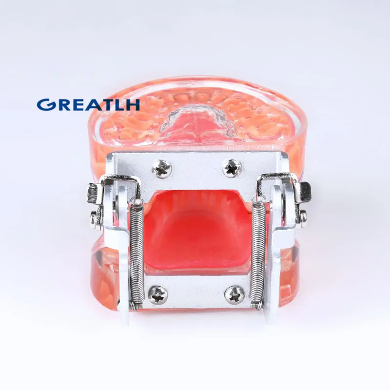 

New Dental Typodont Teeth Model Adult Pathological Periodontal disease 4017#