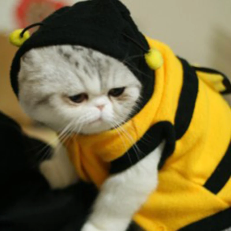 New Lovely Dogs Pets Clothing And Clothes Cute Fleece