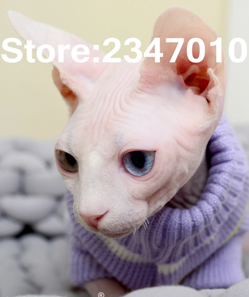 [MPK Pets] свитер сфинкс, одежда для безволосых кошек, толстовки для домашних животных, одежда для домашних животных, котов, одежда для маленьких собак