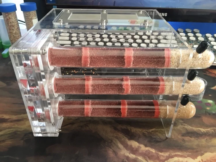 3-tubes-ant-nest (4)
