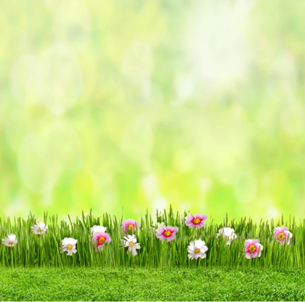 8x8FT Spring Green Grass Garden Lawn Daisy Flowers Bokeh Custom