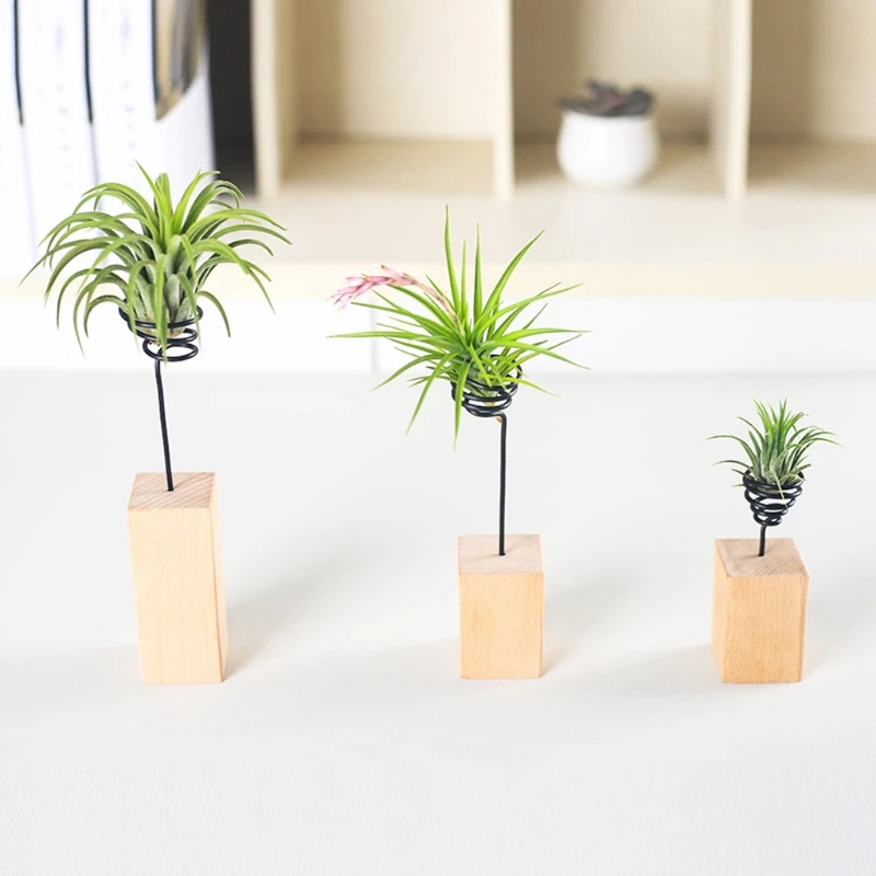 

Air Plant Desk Wood Stander Tabletop Holder Room Miniature Gardening Decorations