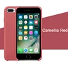 Camellia