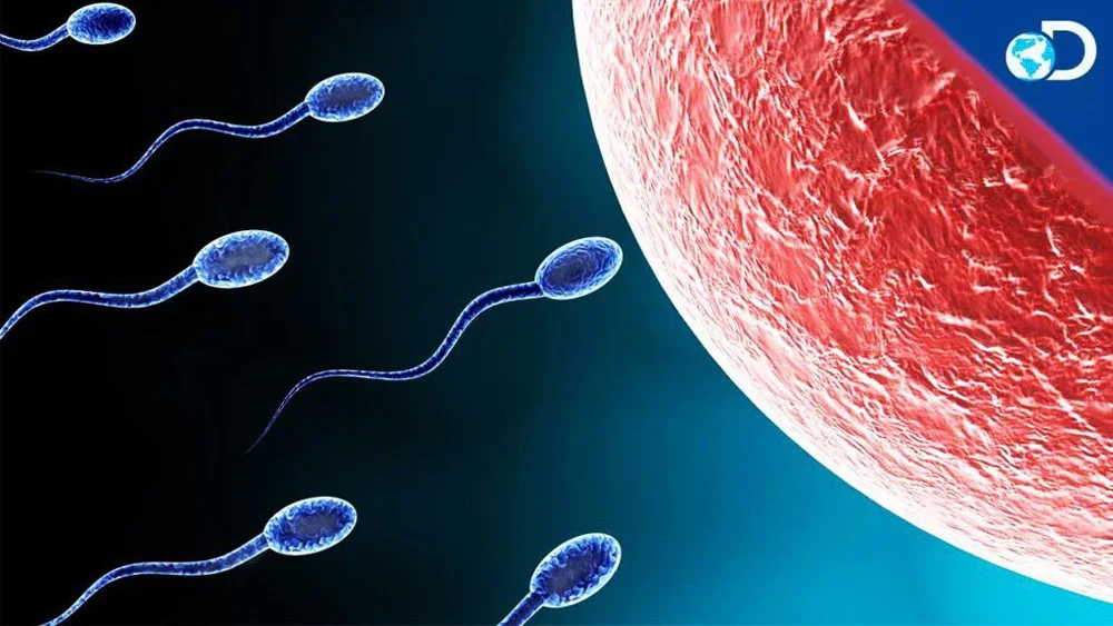 Булавка для спермы репродуктивный сервис IVF Science/медицина металлическая брошка