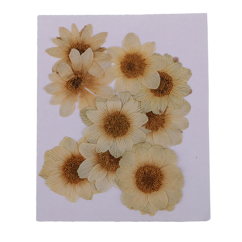 10 Pcs Dried Pressed ICE Flowers For Resin Flower DIY Arts Crafts Supplies