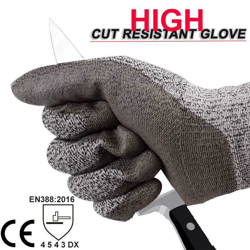 CUT-5-1