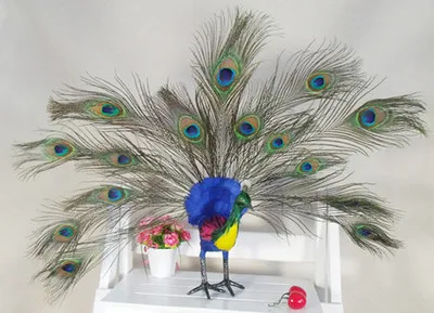 simulation cute colorful peacock 53x13x10cm model polyethylene&furs bird model home decoration props ,model gift d690 flower bird butterfly bath mat set crane peacock chinese style home carpet bathroom decor doormat non slip rugs toilet lid cover