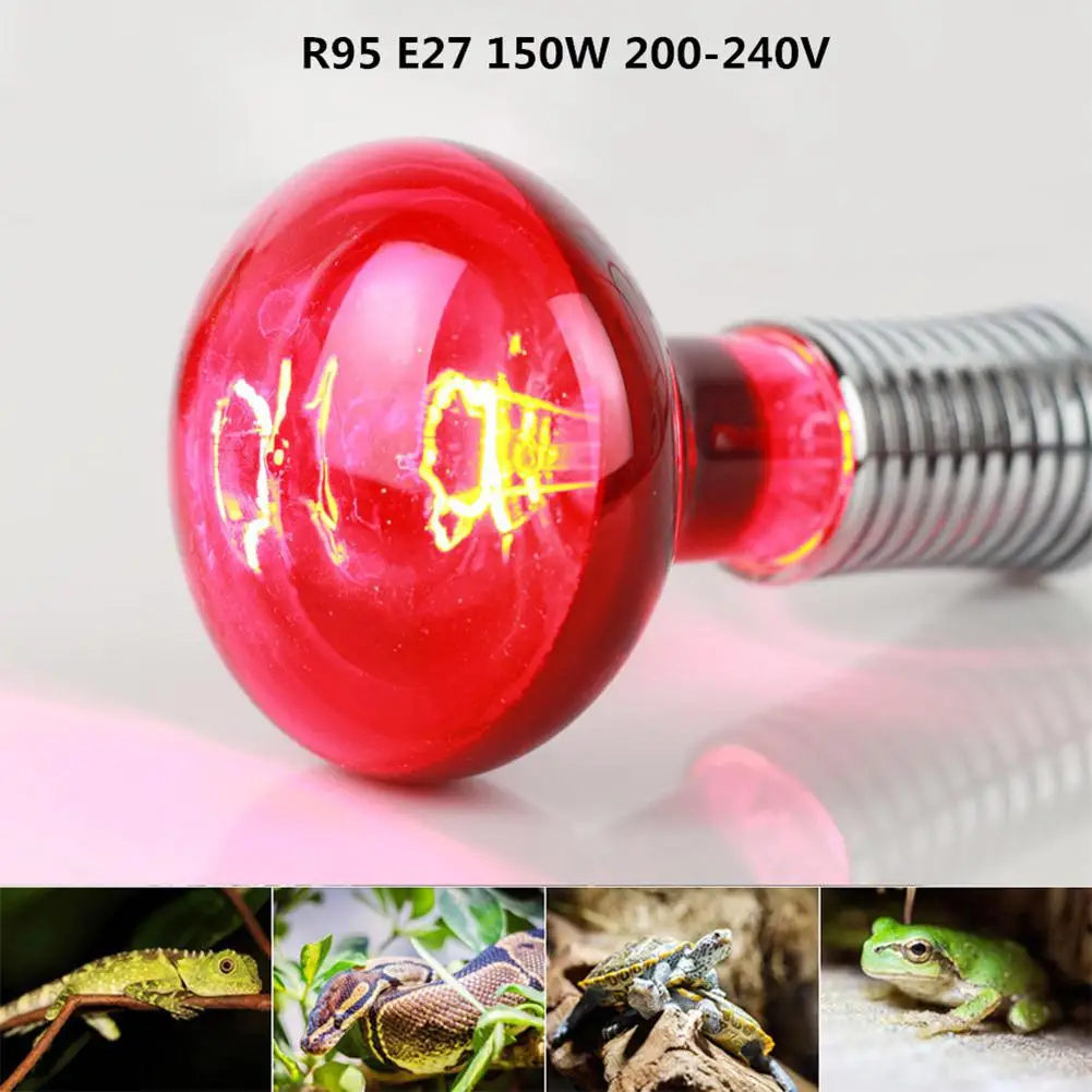 LanLan 150W R95 инфракрасная лампа для ящерицы для черепах, змей - Цвет: Infrared light bulb