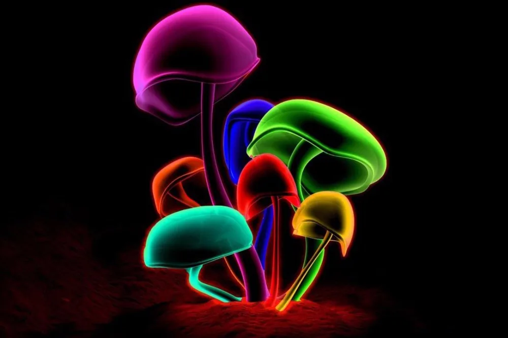 2726 Art Magic Mushroom Colourful-Wall Sticker Art Poster For Home Decor Silk Canvas Painting