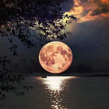 5d diy Алмазная картина на заказ с ночным видением лунное озеро полная квадратная Алмазная вышивка икона пион картина pintura manualidades Роза