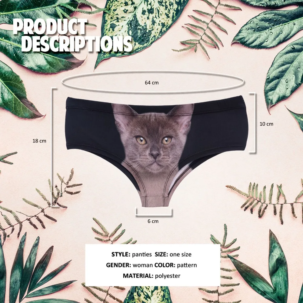 39427 kitty black (1)