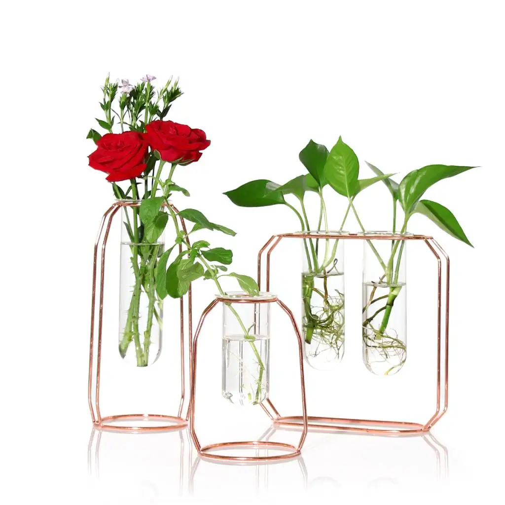 

Vintage Iron Stand Plant Holder Tube Flower Vase Hydroponics Plant Bottle for Wedding Home Tabletop Garden Decoration
