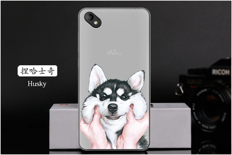  Husky