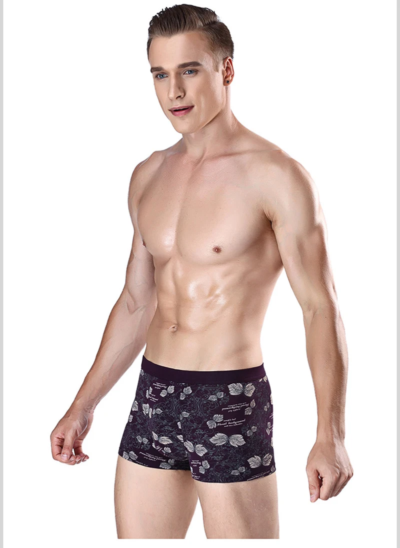 boxer009