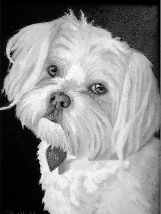 HTB1E_PKXZnrK1RkHFrdq6xCoFXaI