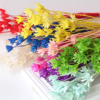 

1Bunch(1Bunch=10Pcs) Artificial Handmade Plant Gift Natural Dried Flowers For Home Office Dector For Scrapbooking Handicraft