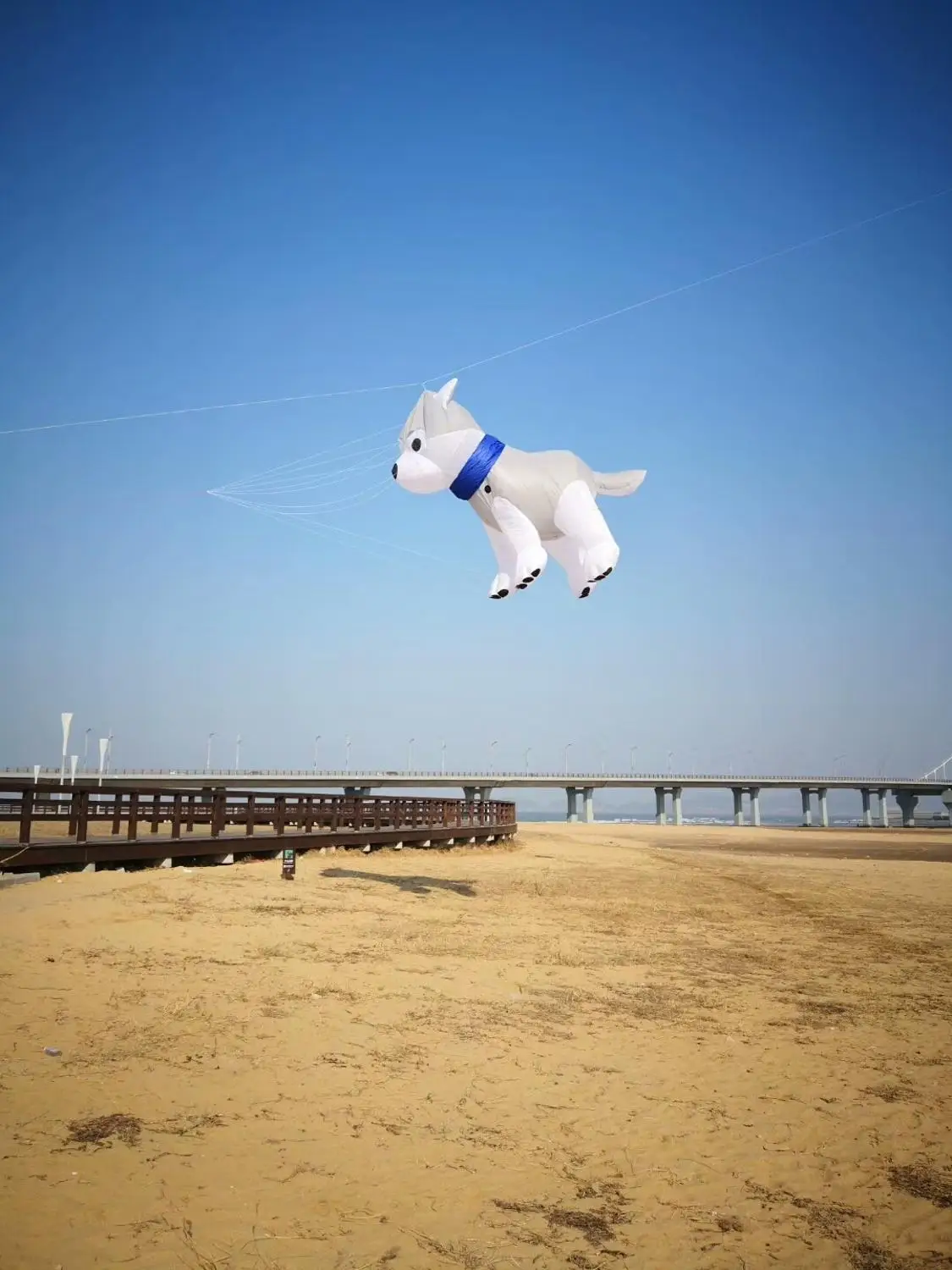 Воздушные змеи для взрослых flying shark cerf volant vlieger|Воздушные змеи| |