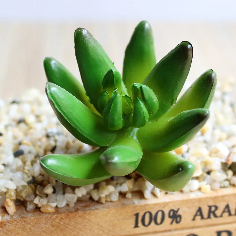 Индиго- 200 шт искусственное суккулентное растение пустыня пластиковый цветок Echeveria Hookerii украшение зелени - Цвет: 200pcs