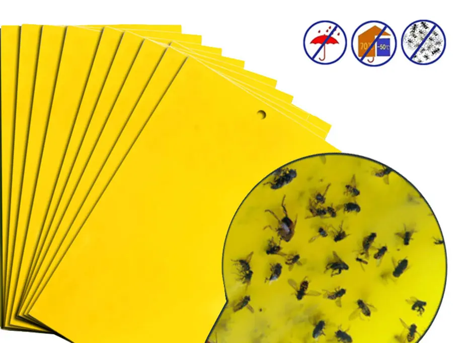 5-Pcs-Forte-Placa-Pegajosa-Armadilhas-Para-Insetos-Moscas-Captura-Insetos-Controle-De-Pragas-Assassino-Pulg-(2)_01