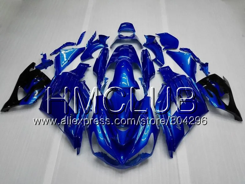 Инъекции для KAWASAKI NINJA ZX 14R ZX14R 06 07 08 09 10 49HM. 2 ZZR1400 ZX-14R 2006 2007 2008 2009 2010 черный Обтекатели West - Цвет: No. 10