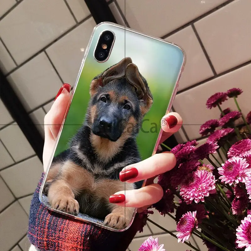 german shepherd dog