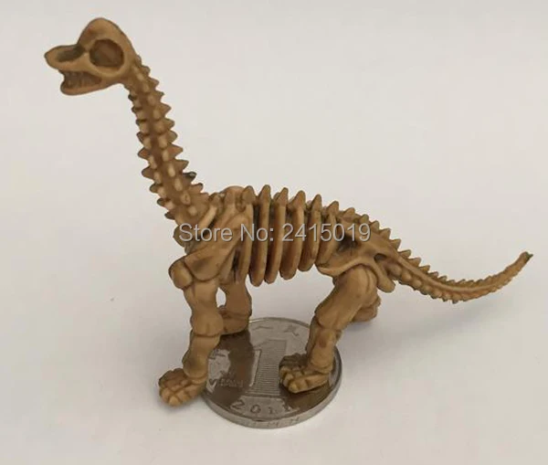 12 Skeleton Dinosaurs -5-5