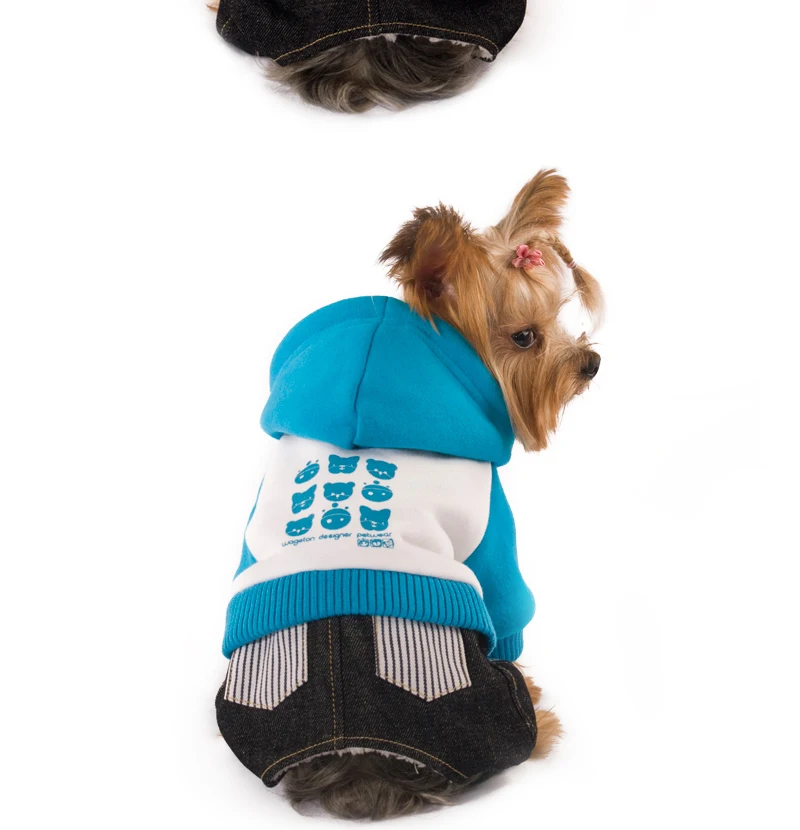 15 pet dog halloween 