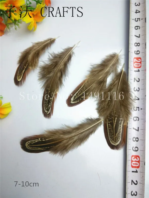 Разнообразие птиц! 10/20/100/500 шт./упаковка натуральные фазаньи|natural pheasant feathers|pheasant