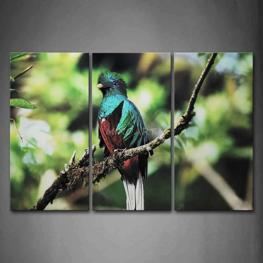 Tak pictures koop goedkope tak pictures loten van chinese tak ...