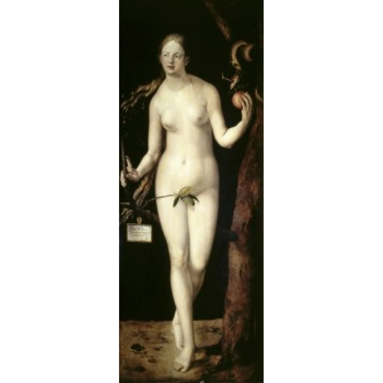 Eve   1507   Oil on wood panel   Albrecht Durer (1471-1528/ German)   Museo del Prado  Madrid Poster Print (18 x 24)