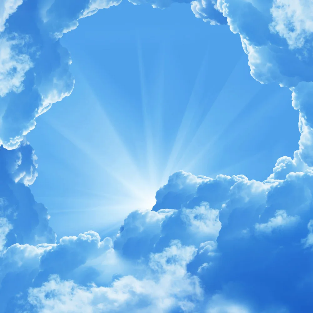

SHENGYONGBAO 10x10ft Sky and Cloud Art Cloth Custom Photography Background Prop Muslin Background JTY-248