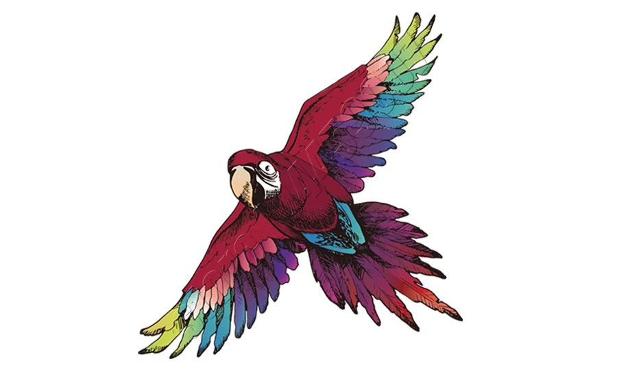 1-Color Eagle Sticker Patches Print On T-Shirt Washable Clothes Decoration New Design Diy Accessory Iron-On Transfers