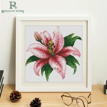 

Romantic Story Pretty Flowers Paintings Needlework Cross Stitch Set by Starter Kits Beginners Handmade Cross-Stitch Embroidery