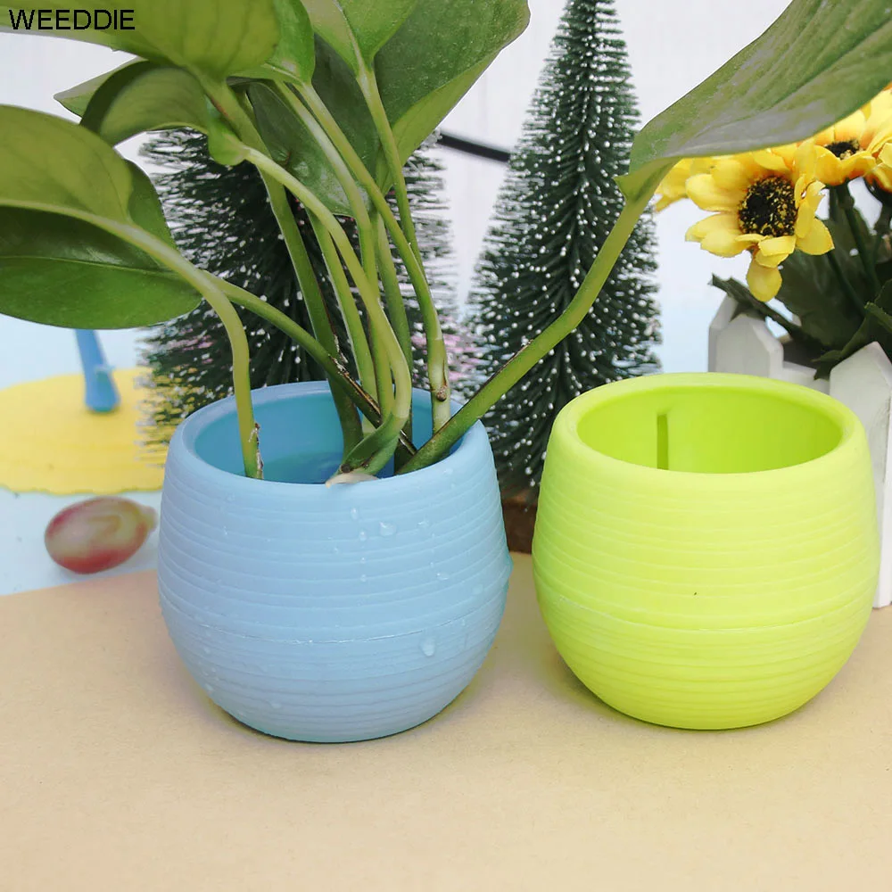 

Mini Colorful round Plastic Flower Planter Pots Home Office Desktop Garden decorative flower pot New