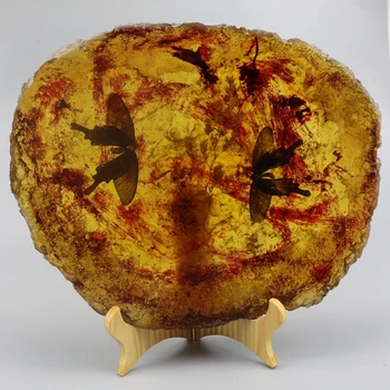 

Amber jewelry, double butterfly specimen handicraft, large screen amber ornament, send bracket