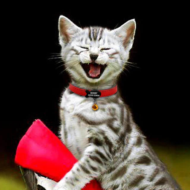 Medaglietta Incisione Nome Collare Per Gatto In Pelle Personalizzato - Con Targhetta ID Incisa, Misura E Design Su Misura LarryRoo Collari Personalizzati