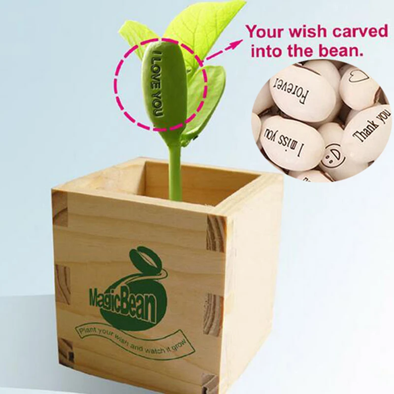 

Magic Growing Message Beans Bonsais Magic Bean English Magic Bean Potted Green Office Home Decor for Flower Pot Planter Planting