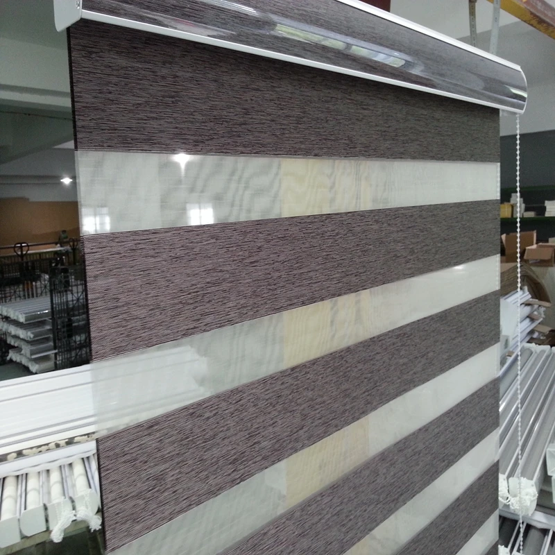 

Custom Size Shade 100% Polyester Translucent Roller Zebra Blinds in Brown Window Curtains for Living Room 5 Colors are Available