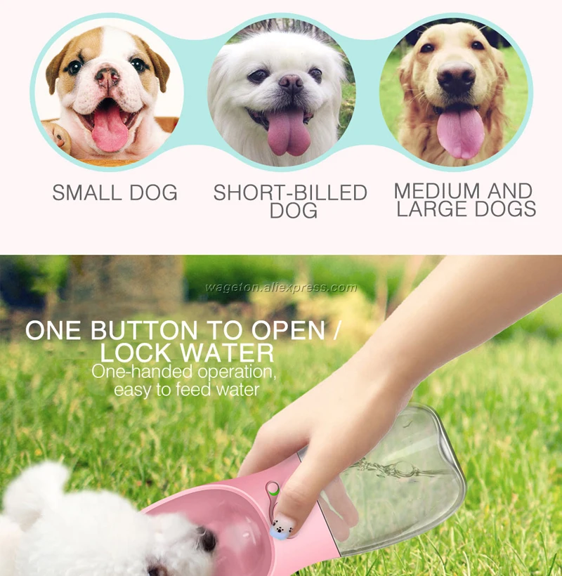 8 dog travel water bottle 