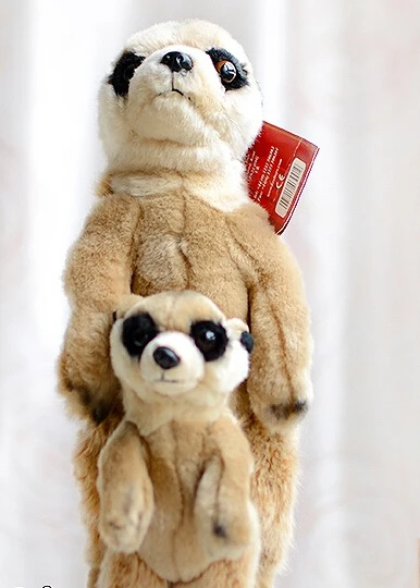 mongoose stuffed animal