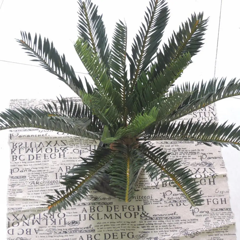 

Artificial Phoenix Coconut Palm Evergreen Cycas Fern Plant Tree Wedding Home Office Furniture Decor Lifelike Green No Vase F51