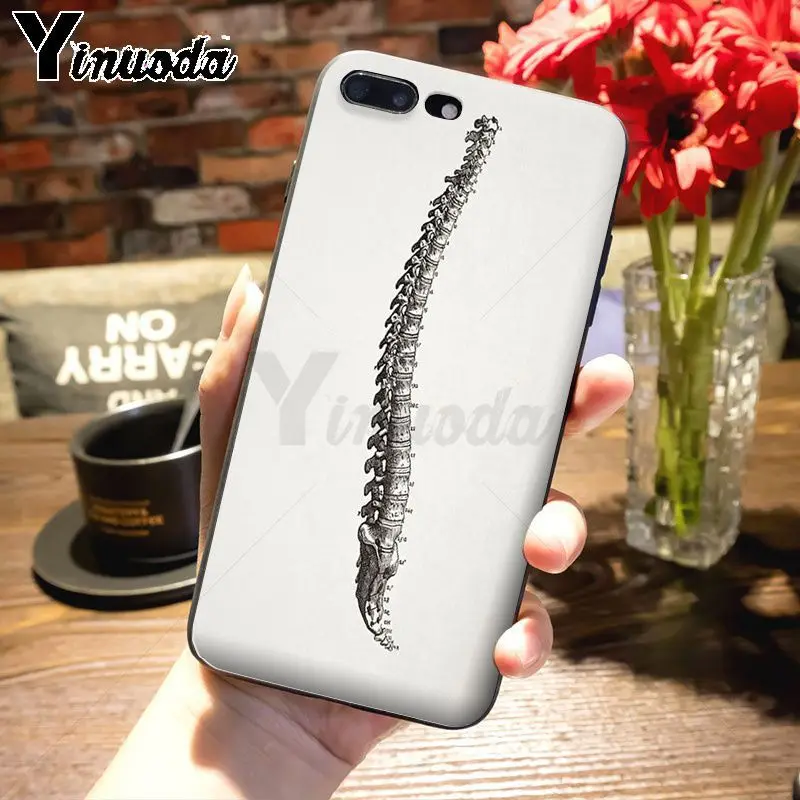 Yinuoda цветной милый чехол для телефона с анатомией человека iPhone 7plus 6S 7 xsmax xr 8 8Plus X 5S