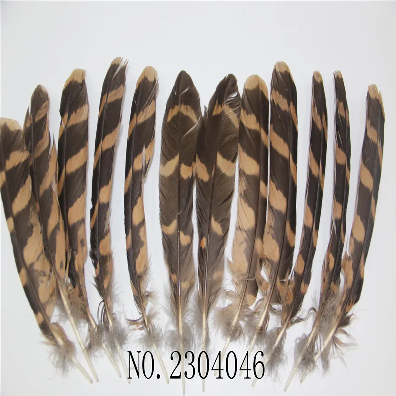 

Wholesale 50 natural rare eagle feathers 6-16 inch (15-40CM) suit DIY collection decoration