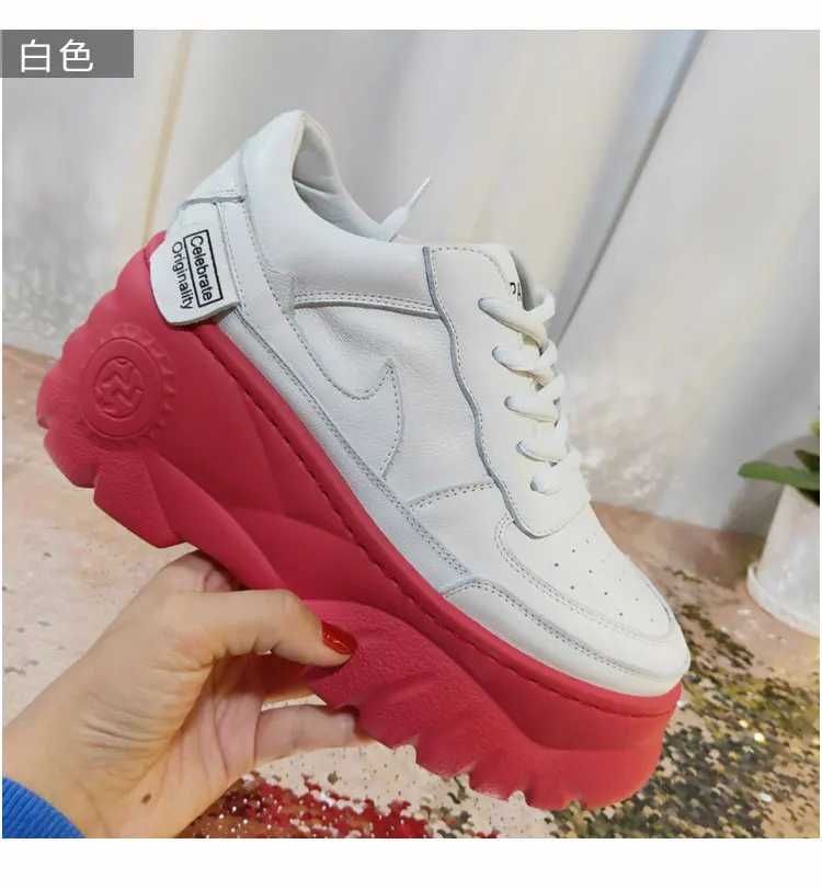 O1CN010RvLbS1TptimRvZq9_!!1996662432