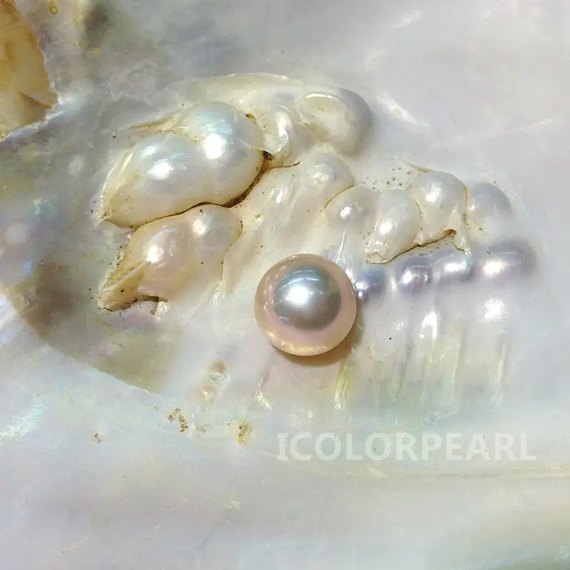 

AAA+ Best Quality 10-11mm Round Freshwater Pearl Bead .White,Pink Orange and Purple colors