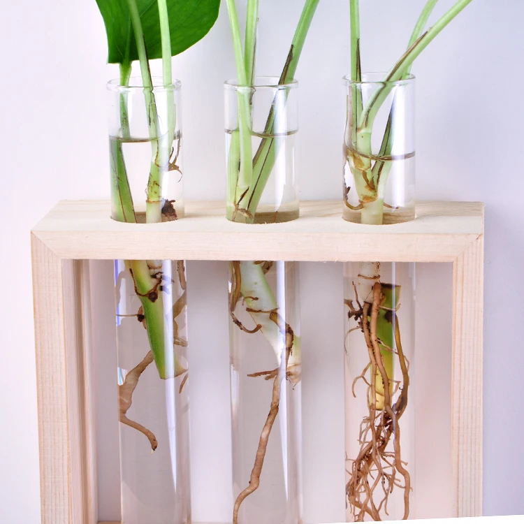 В современном стиле настенный подвесной хрустальный стеклянный тестовый ваза в виде пробирки в деревянной подставке для цветов растений-дома садовые украшения для кафе бара