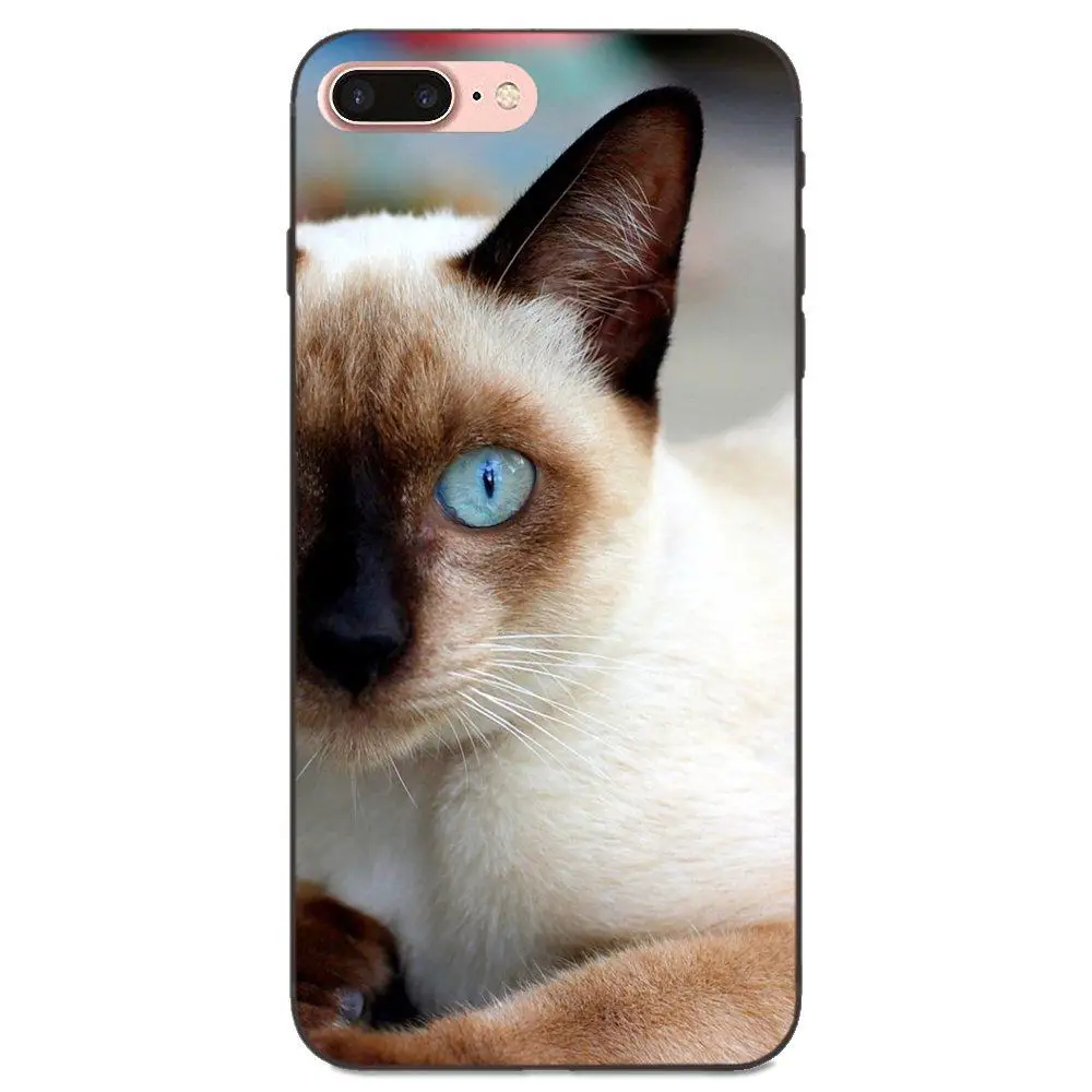 Мягкие сумки из ТПУ чехлы забавные сиамские кошки Pet для Galaxy C5 C7 J1 J2 J3 J330 J5 J6 J7 J730 2017