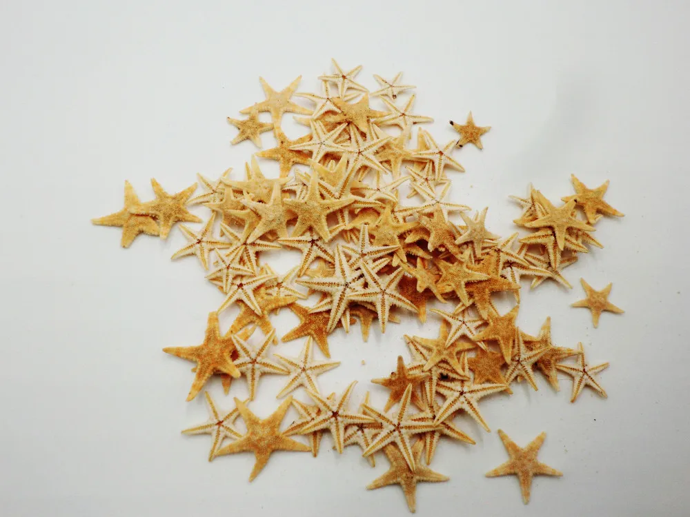 Натуральная маленькая морская Морская звезда для домашнего свадебного украшения