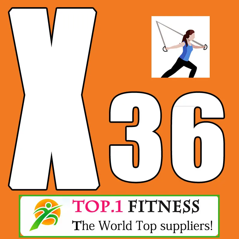 

[Hot Sale]Latest Release 2019 08 Q3 Course CX 36 Core Muscle Group Training CX36 Boxed+ choreography