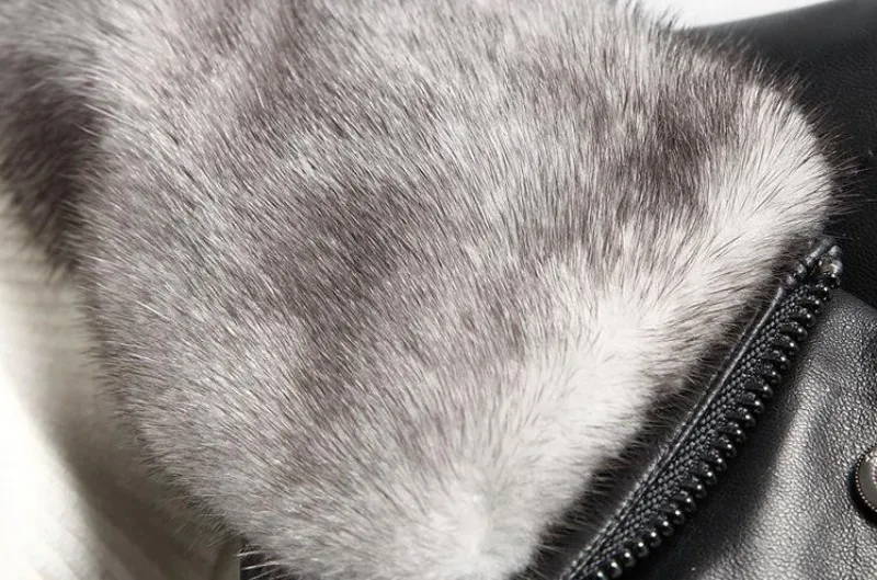 conew_8